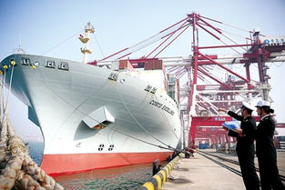 2016年我国货物进出口总值同比下降0.9% 国内贸易代理行业面临新挑战