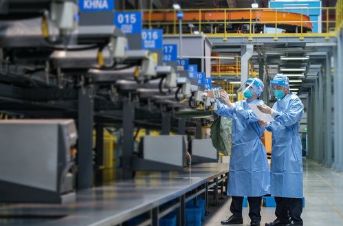 上海外贸韧性强劲 上半年走出V型修复态势，国内贸易代理持续发力