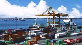 海关总署关于优惠贸易协定项下进出口货物报关单填制规范及国内贸易代理实务指引