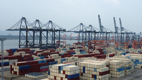 开门稳！外贸大省浙江发力，东盟跃升为第二大贸易市场